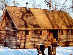 One of the particularly fascinating things about the Marquardts' home is the way they mixed logs and conventional materials.